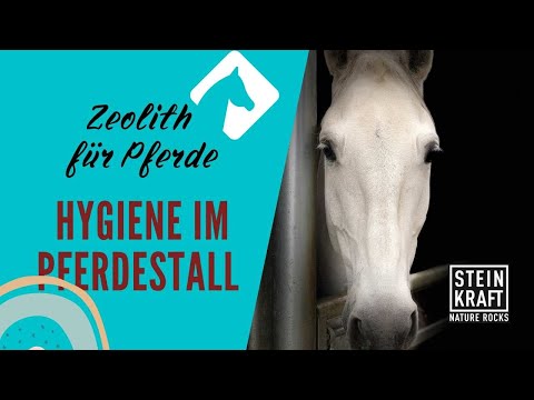 HORSEKRAFT Cama con zeolita 2x12kg