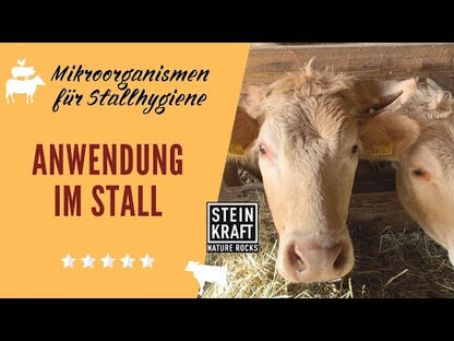 Mikroorganismen AM+PLUS Urlösung für Landwirtschaft