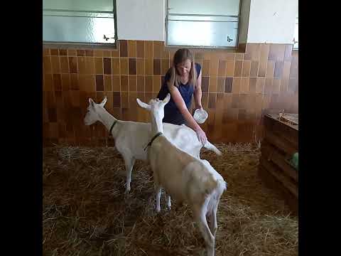 STALLKRAFT bedding with zeolite and organic herbs