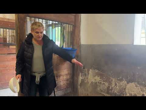 HORSEKRAFT Einstreu mit Zeolith 2x12kg