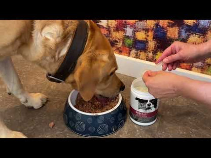 ZEOLITH Pulver für Hunde - DOGKRAFT von Steinkraft