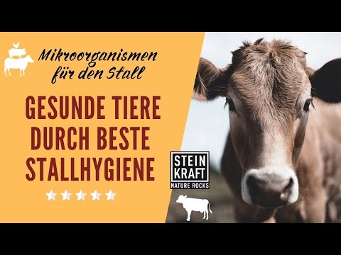 Mikroorganismen AM+PLUS Urlösung für Landwirtschaft
