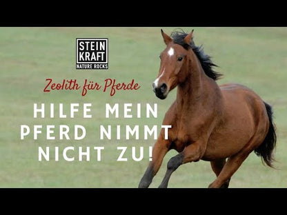 HORSEKRAFT Polvo de zeolita para caballos