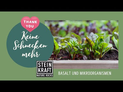 Microorganismos AM+PLUS Solución madre para jardín y plantas